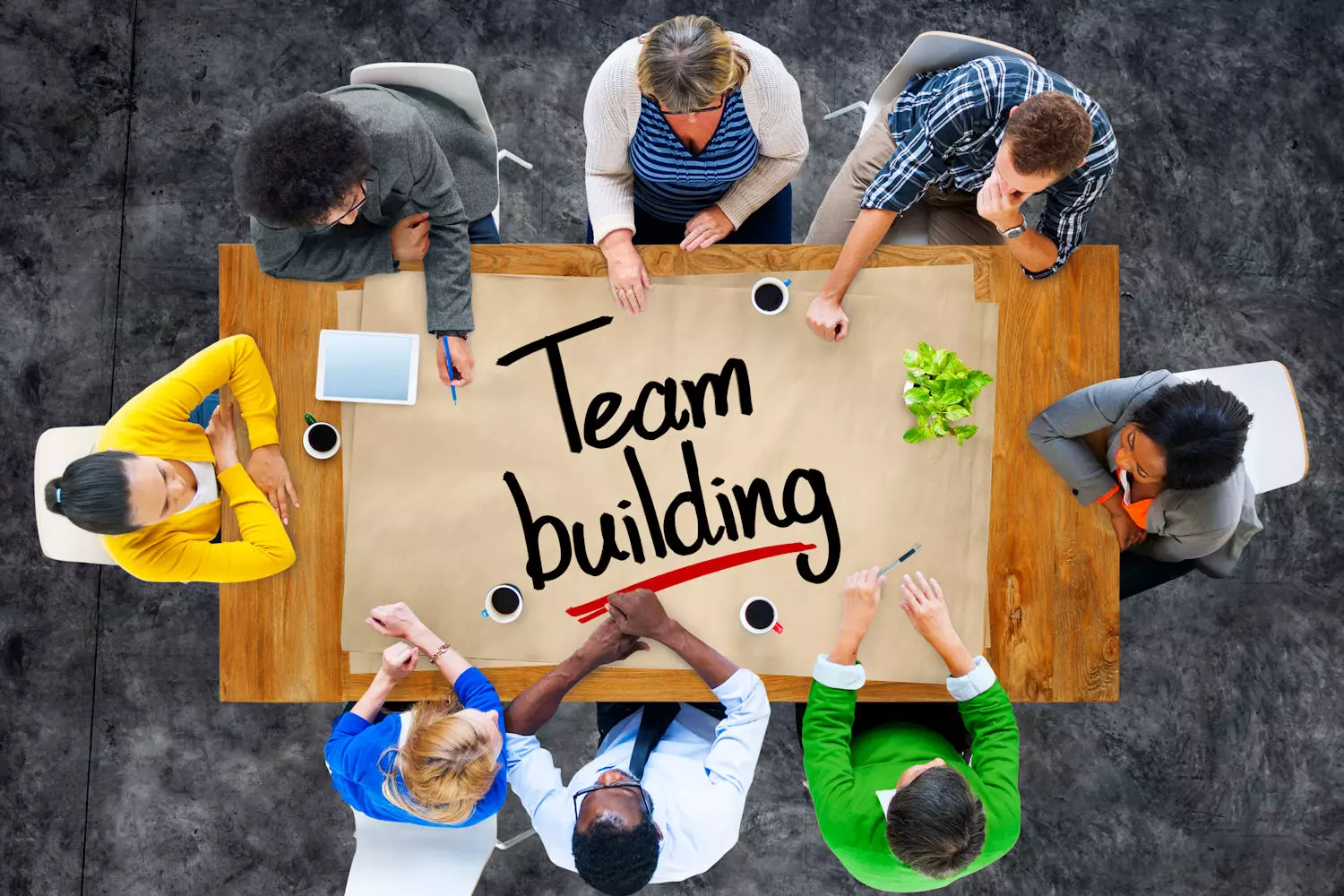 Teambuilding Activiteiten voor Bedrijven